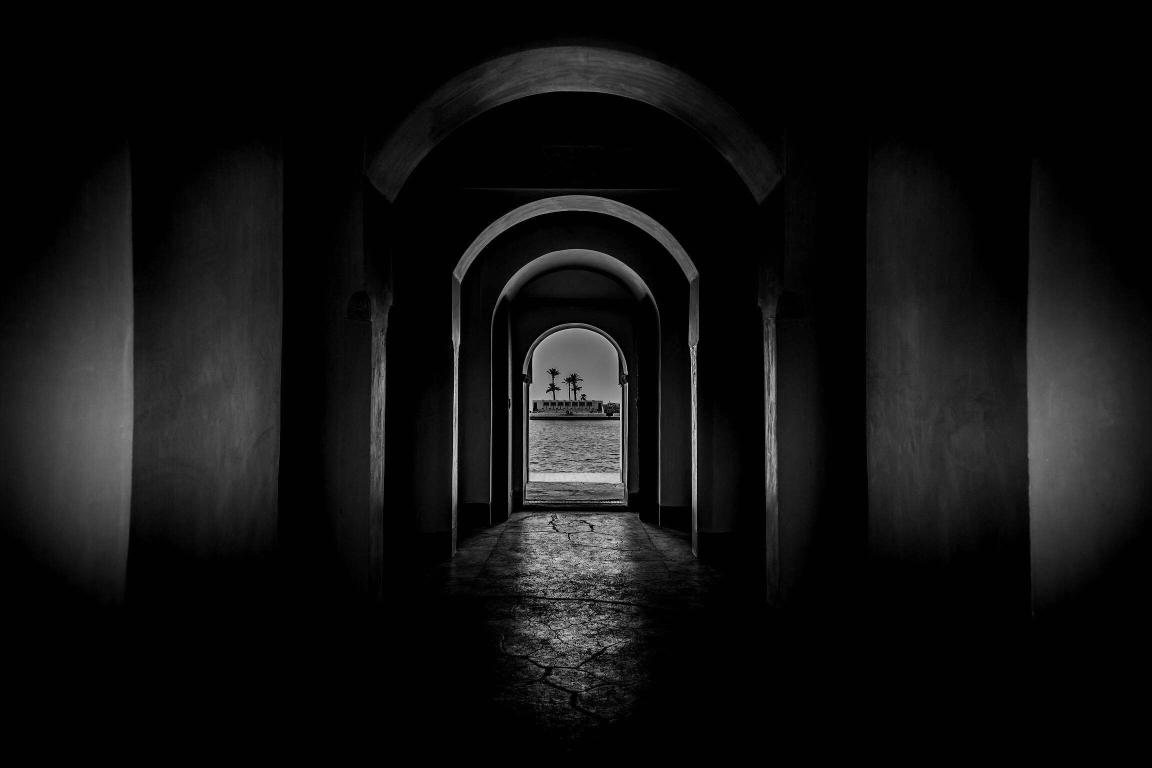Grayscale Photography of Corridor